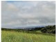 Yungaburra QLD 4884