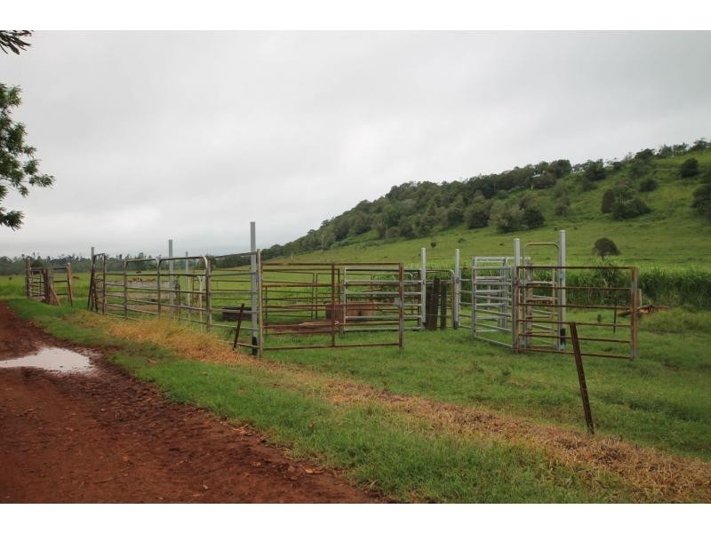 Yungaburra QLD 4884