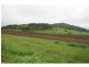 Yungaburra QLD 4884
