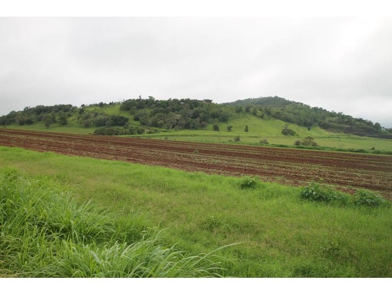 Yungaburra QLD 4884