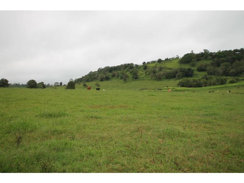 Yungaburra QLD 4884