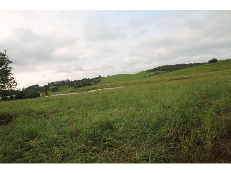 Yungaburra QLD 4884