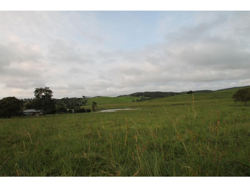 Yungaburra QLD 4884