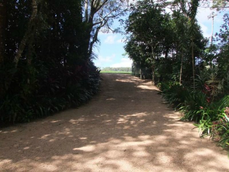 Yungaburra QLD 4884