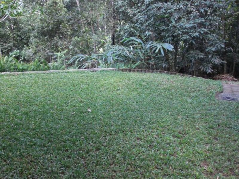 Yungaburra QLD 4884