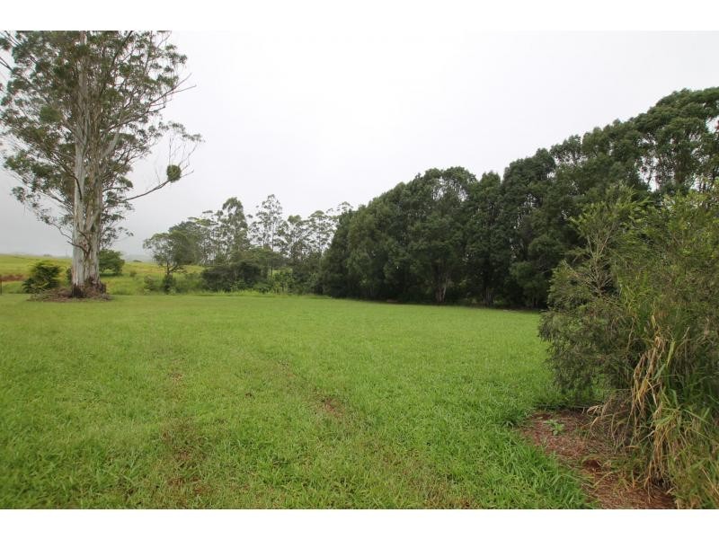 Lake Eacham QLD 4884