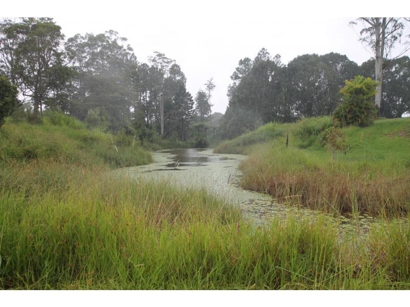 Lake Eacham QLD 4884