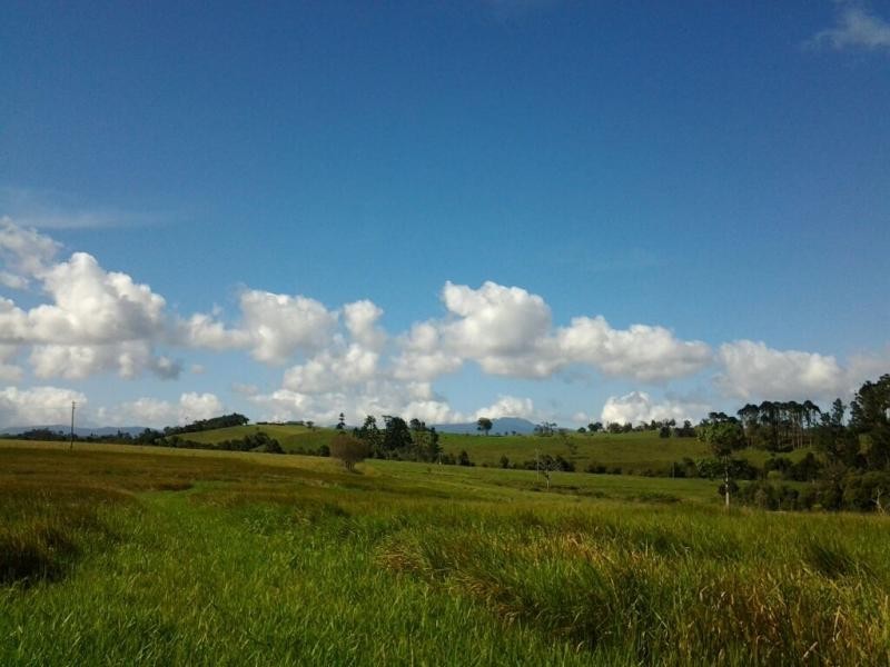 Lake Eacham QLD 4884