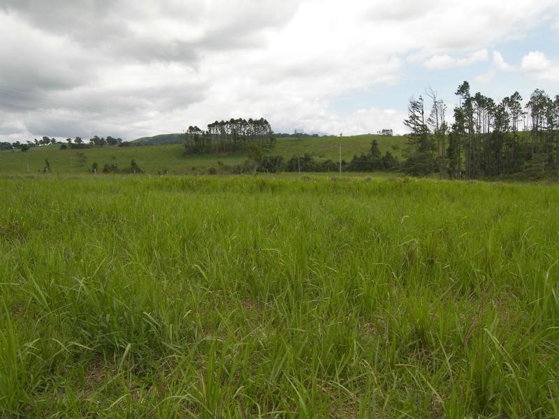 Lake Eacham QLD 4884