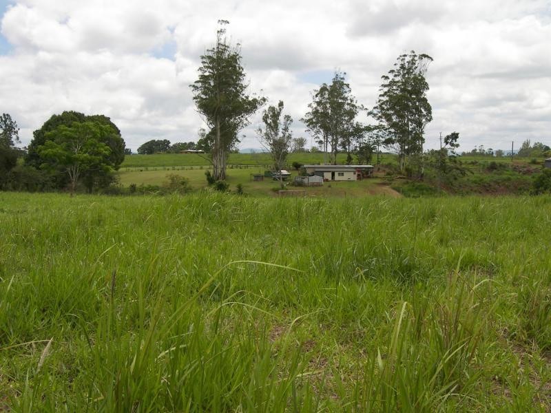 Lake Eacham QLD 4884