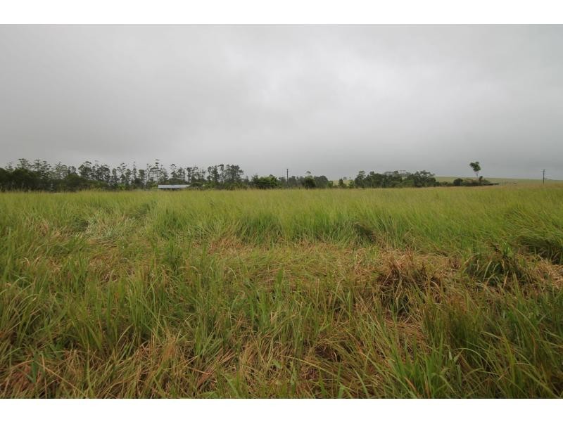 Lake Eacham QLD 4884