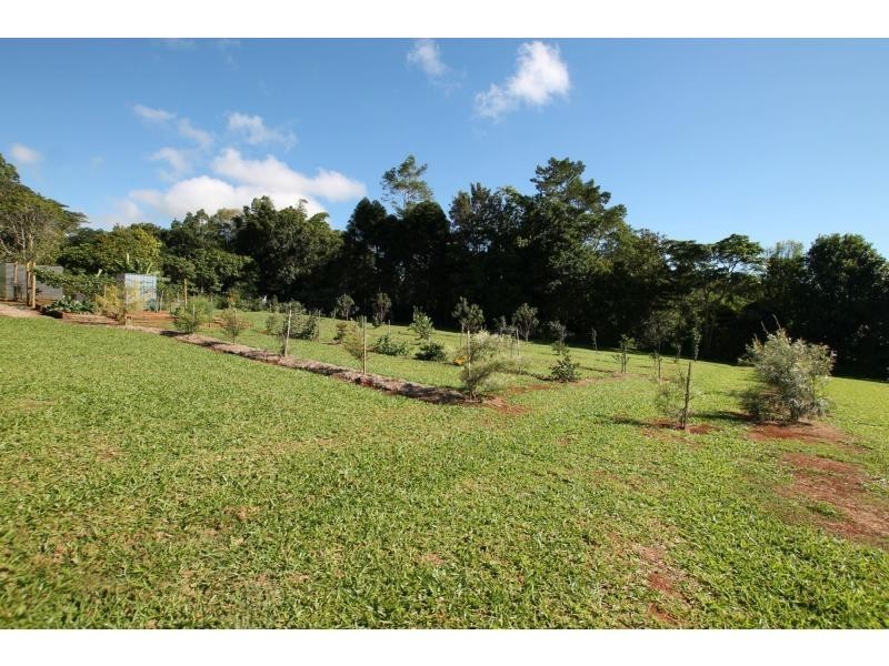 Lake Eacham QLD 4884