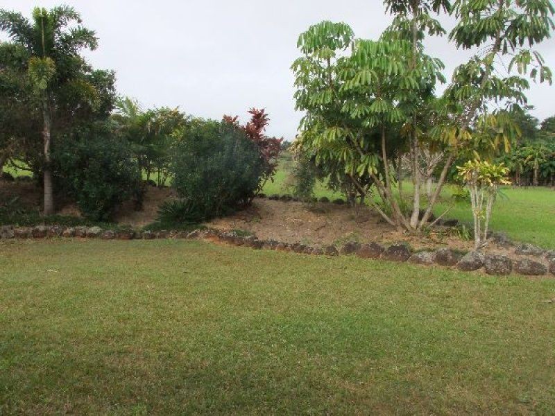 Yungaburra QLD 4884