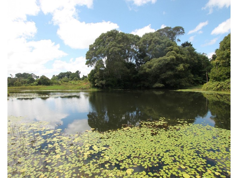 Malanda QLD 4885