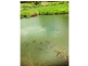 Malanda QLD 4885