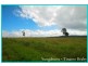 Yungaburra QLD 4884