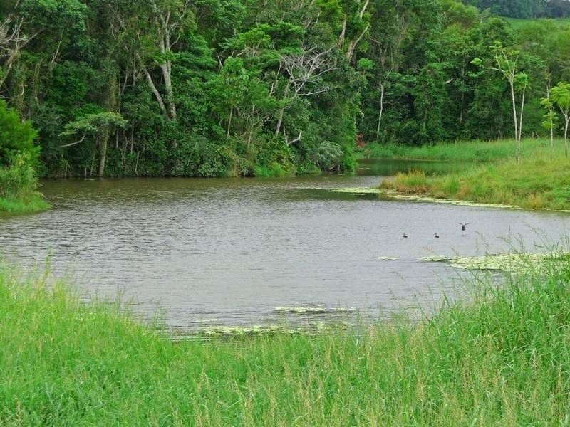 Yungaburra QLD 4884
