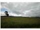 Yungaburra QLD 4884