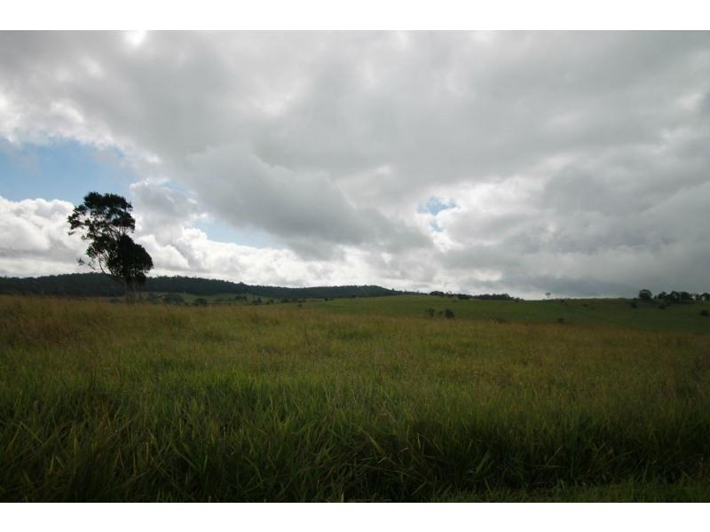 Yungaburra QLD 4884