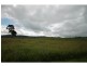 Yungaburra QLD 4884
