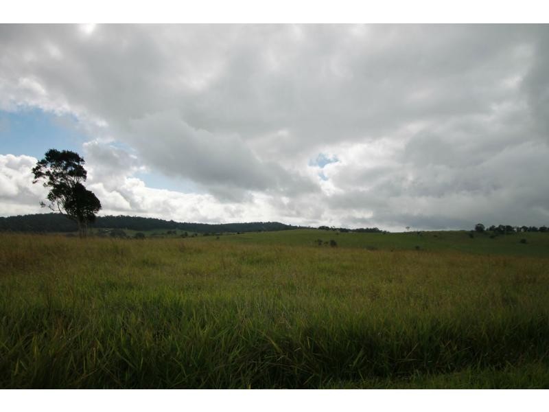 Yungaburra QLD 4884