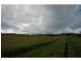 Yungaburra QLD 4884