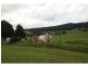 Yungaburra QLD 4884