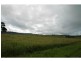 Yungaburra QLD 4884