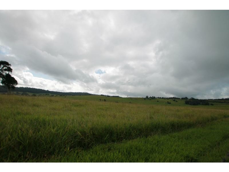 Yungaburra QLD 4884
