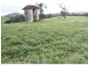Yungaburra QLD 4884