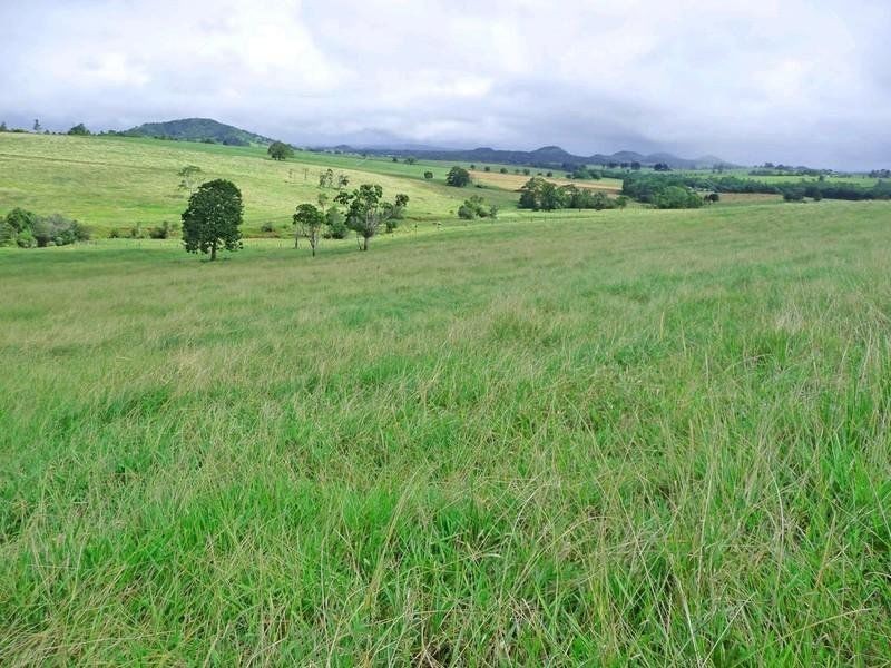 Yungaburra QLD 4884