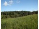 4 Lloyd Road, Yungaburra QLD 4884