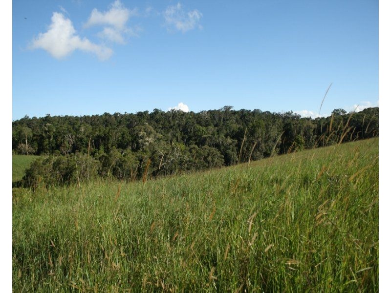 4 Lloyd Road, Yungaburra QLD 4884