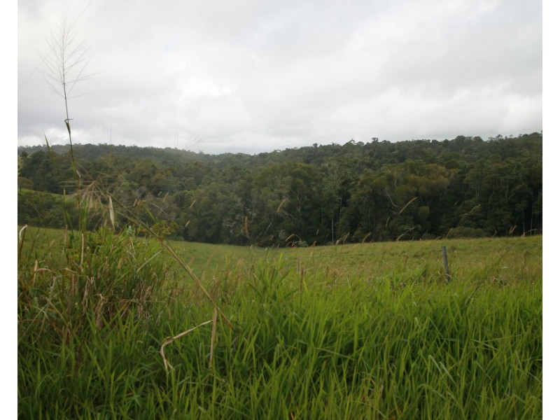 4 Lloyd Road, Yungaburra QLD 4884