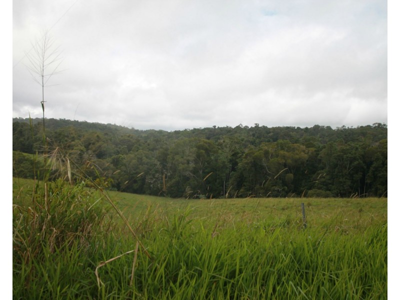 4 Lloyd Road, Yungaburra QLD 4884