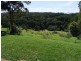Lake Eacham QLD 4884
