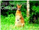1 Eacham Close, Lake Eacham QLD 4884