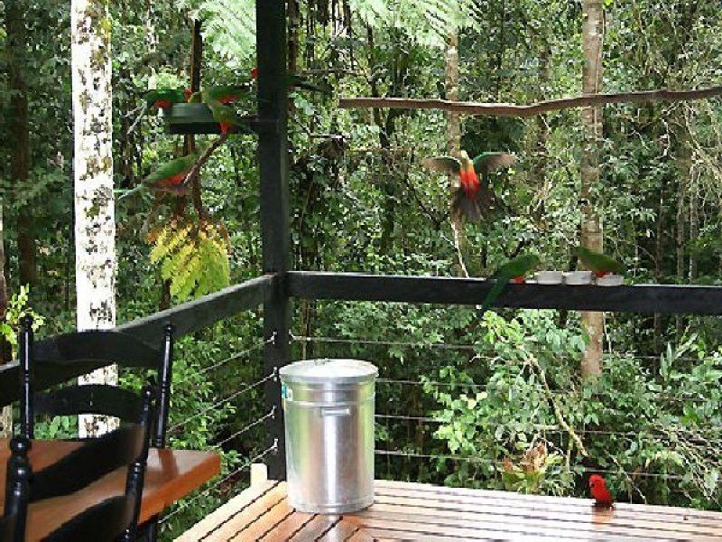 1 Eacham Close, Lake Eacham QLD 4884