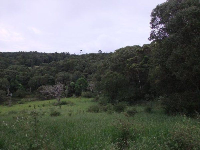 Yungaburra QLD 4884