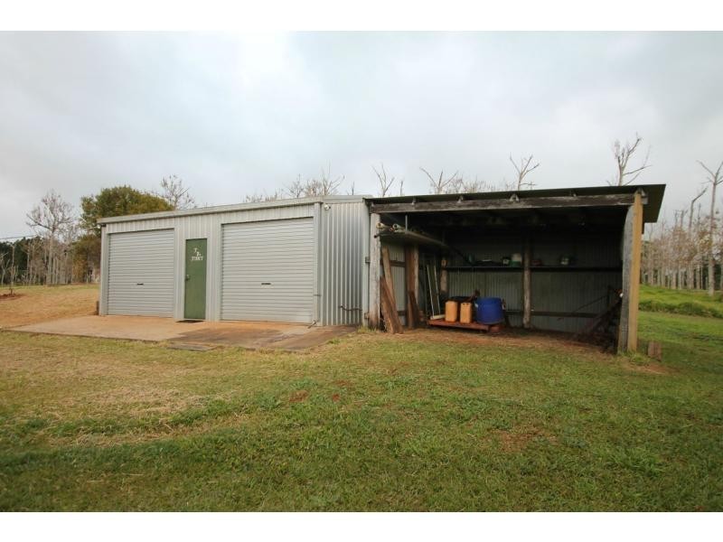 Lake Eacham QLD 4884