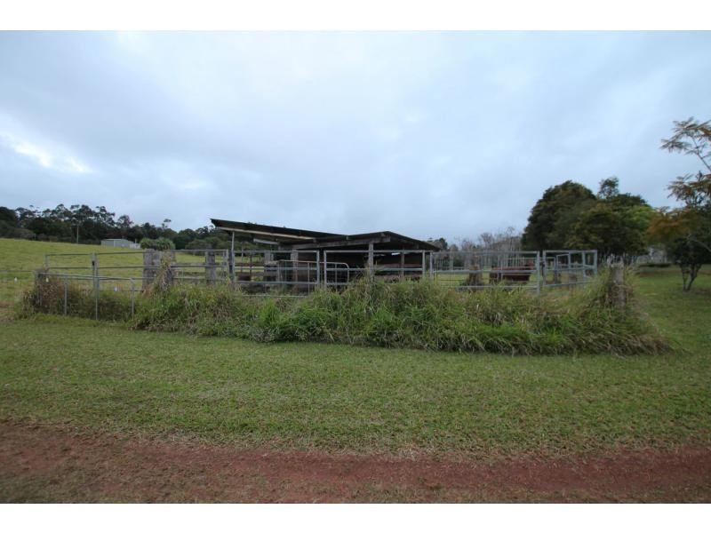Lake Eacham QLD 4884