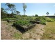 Yungaburra QLD 4884