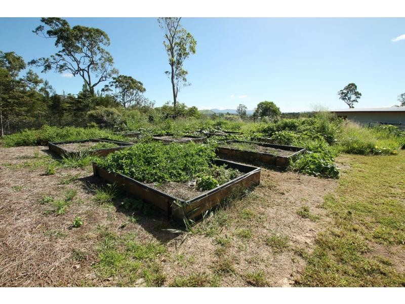 Yungaburra QLD 4884