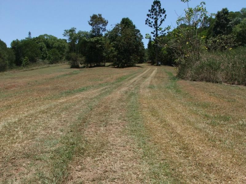 Yungaburra QLD 4884