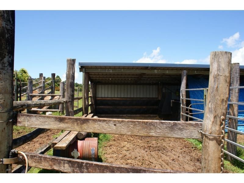 Yungaburra QLD 4884