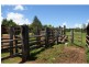Yungaburra QLD 4884