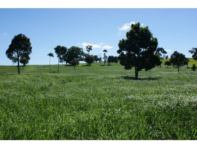 Yungaburra QLD 4884