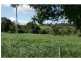 Yungaburra QLD 4884