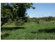 Yungaburra QLD 4884