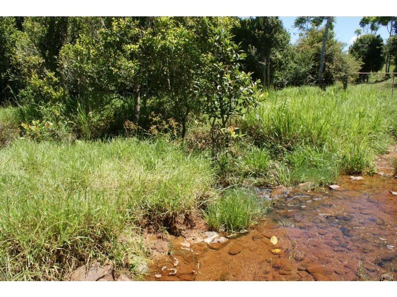 Yungaburra QLD 4884